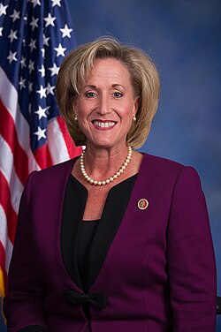 Photo of Ann Wagner